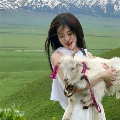 恋爱的正确标记法海报