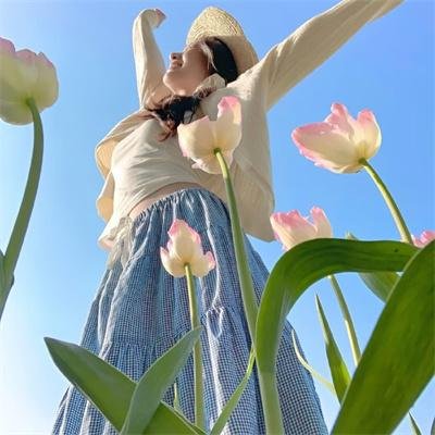 百战天龙第五季