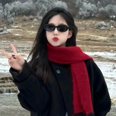 新虎口脱险海报